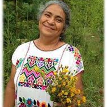 Rusko, eko-osada Kavčeg